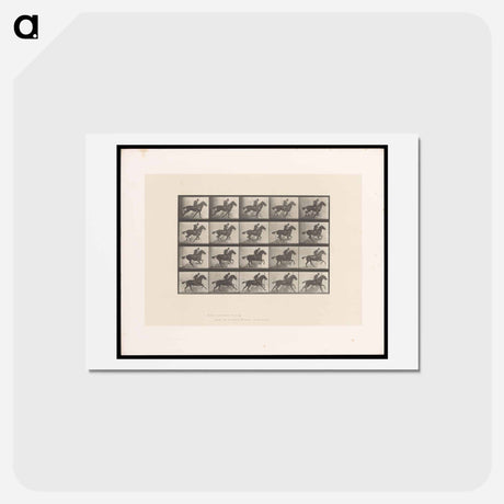 アートポストカード-Man on Horse
 - エドワード マイブリッジ Postcard.