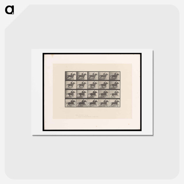 アートポストカード-Man on Horse
 - エドワード マイブリッジ Postcard.