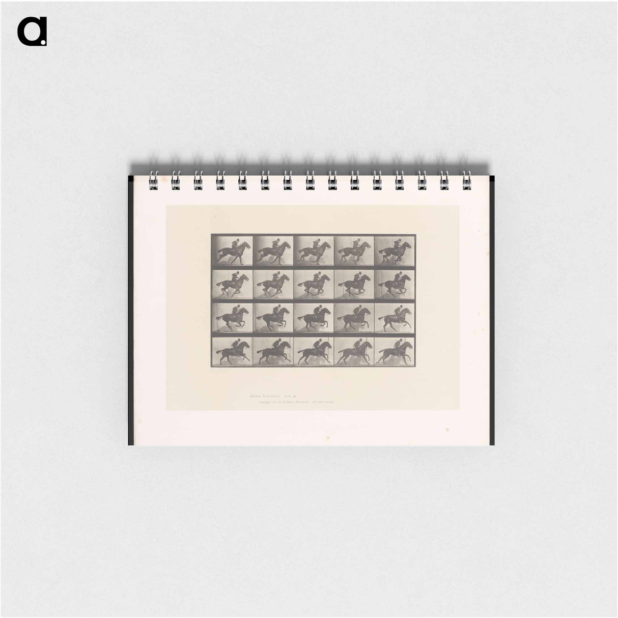 アートメモ帳-Man on Horse
 - エドワード マイブリッジ Memo.