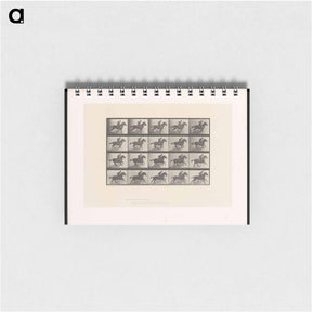 アートメモ帳-Man on Horse
 - エドワード マイブリッジ Memo.