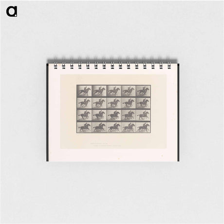 アートメモ帳-Man on Horse
 - エドワード マイブリッジ Memo.