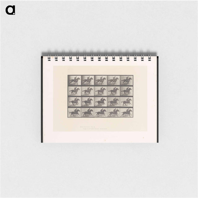 アートメモ帳-Man on Horse
 - エドワード マイブリッジ Memo.