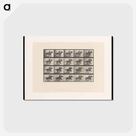 アートポストカード-Man on Horse
 - エドワード マイブリッジ Postcard.