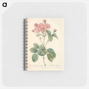 アートメモ帳-Rose illustration - ピエール ジョゼフ ルドゥーテ Memo.