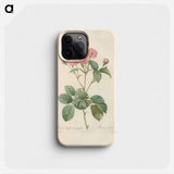 Rose illustration - Pierre Joseph Redouté Phone Case.