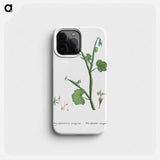 Pelargonium Tetragonum (Square–Stemmed Pelargonium) - Pierre-Joseph Redouté Phone Case.