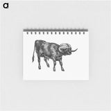アートメモ帳-Bull from Portuguese Expedition To Muatianvua
 - 大英図書館 Memo.