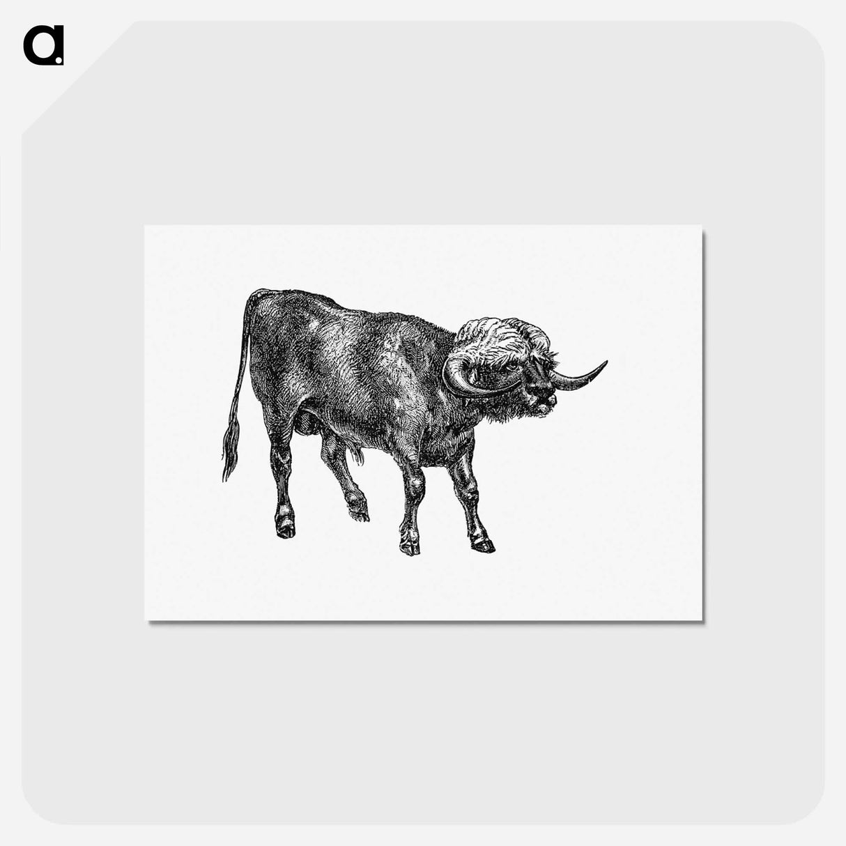 アートポストカード-Bull from Portuguese Expedition To Muatianvua
 - 大英図書館 Postcard.