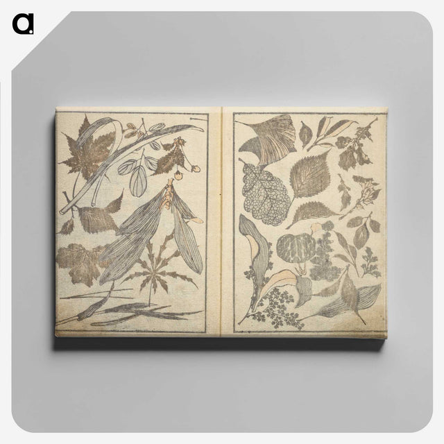 10-50_Katsushika-Hokusai_canvas