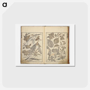 アートポストカード-Random sketches by Hokusai volumes 1 to 11 - 葛飾 北斎 Postcard.