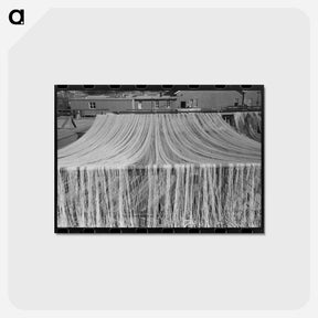 アートポストカード-Nets Drying in the Sun, Astoria
 - ラッセル リー Postcard.