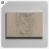 アートパネル-Head of a Tiger
 - イェール大学アートギャラリー Canvas.