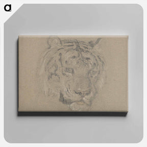 アートパネル-Head of a Tiger
 - イェール大学アートギャラリー Canvas.