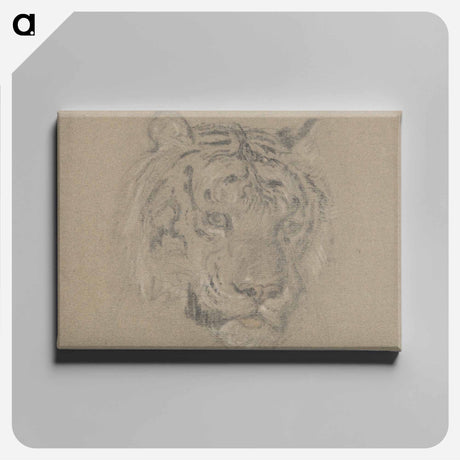 アートパネル-Head of a Tiger
 - イェール大学アートギャラリー Canvas.