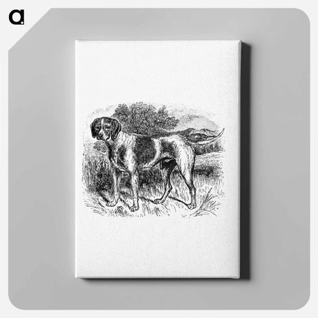 アートパネル-Rustic Pet Dog
 - 大英図書館 Canvas.