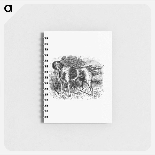 アートメモ帳-Rustic Pet Dog
 - 大英図書館 Memo.