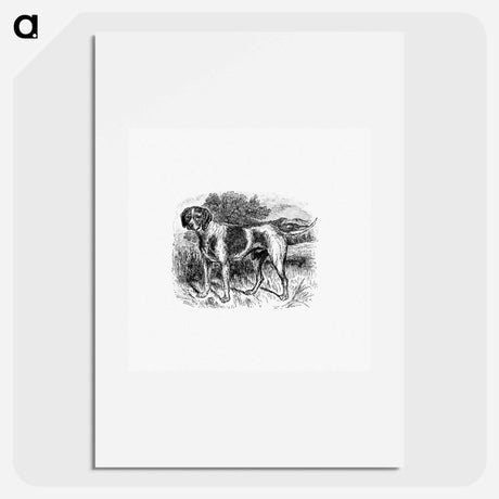 アートポスター-Rustic Pet Dog
 - 大英図書館 Poster.