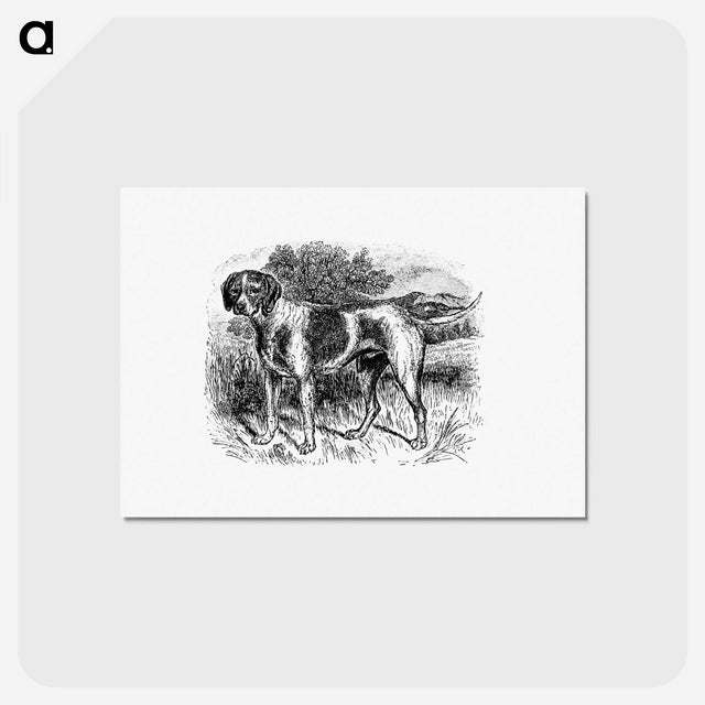 アートポストカード-Rustic Pet Dog
 - 大英図書館 Postcard.