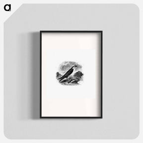 アートポスター-Water Eagle
 - 大英図書館 Poster.