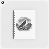 アートメモ帳-Water Eagle
 - 大英図書館 Memo.