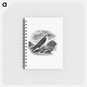 アートメモ帳-Water Eagle
 - 大英図書館 Memo.