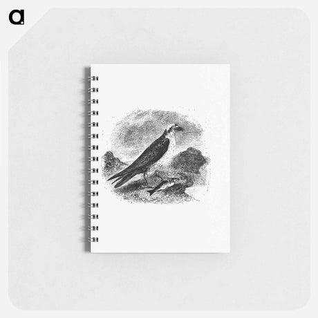 アートメモ帳-Water Eagle
 - 大英図書館 Memo.
