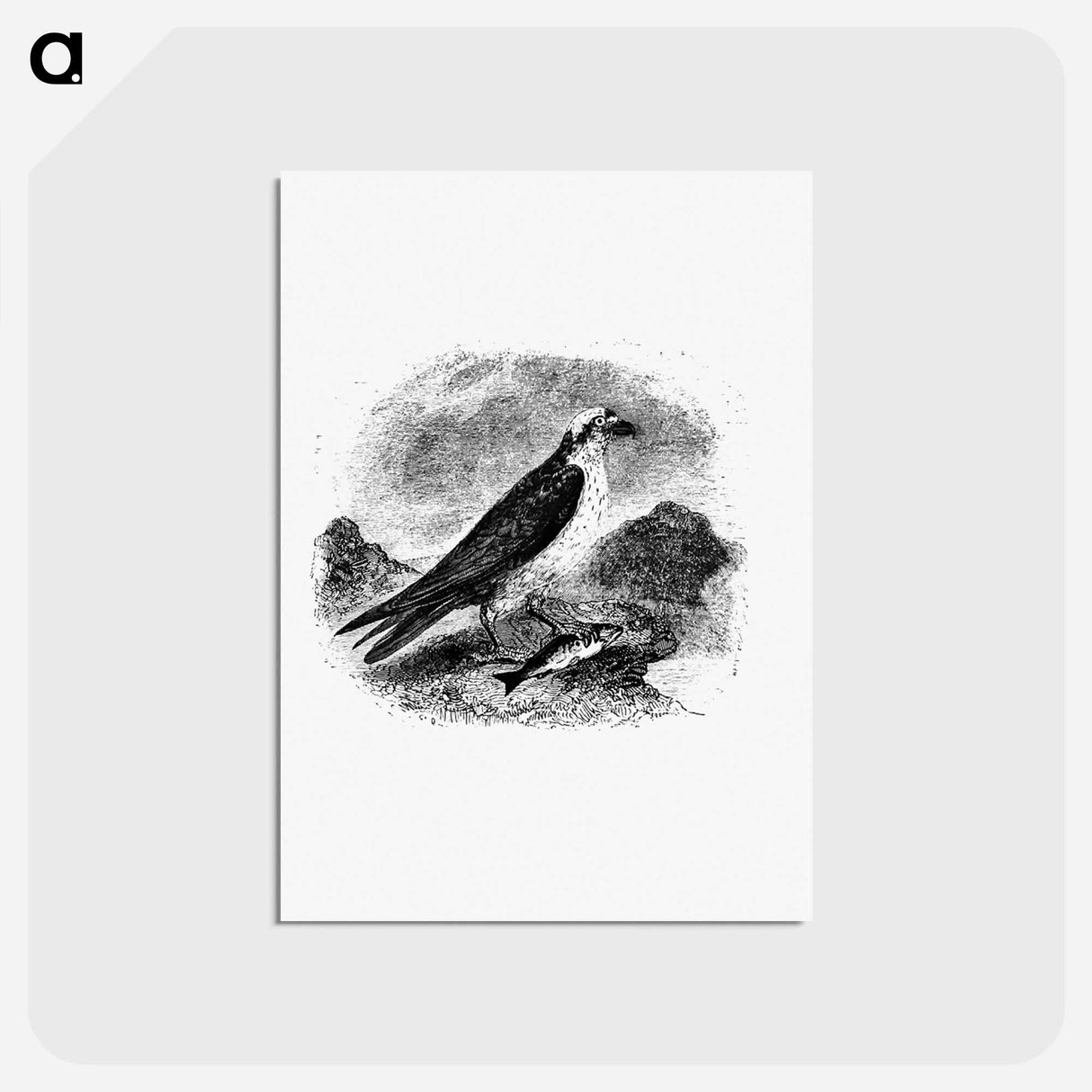 アートポストカード-Water Eagle
 - 大英図書館 Postcard.