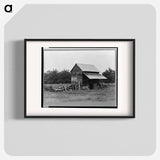 The tobacco barn - Dorothea Lange Poster.