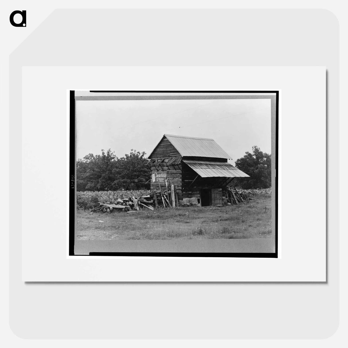 The tobacco barn - Dorothea Lange Poster.