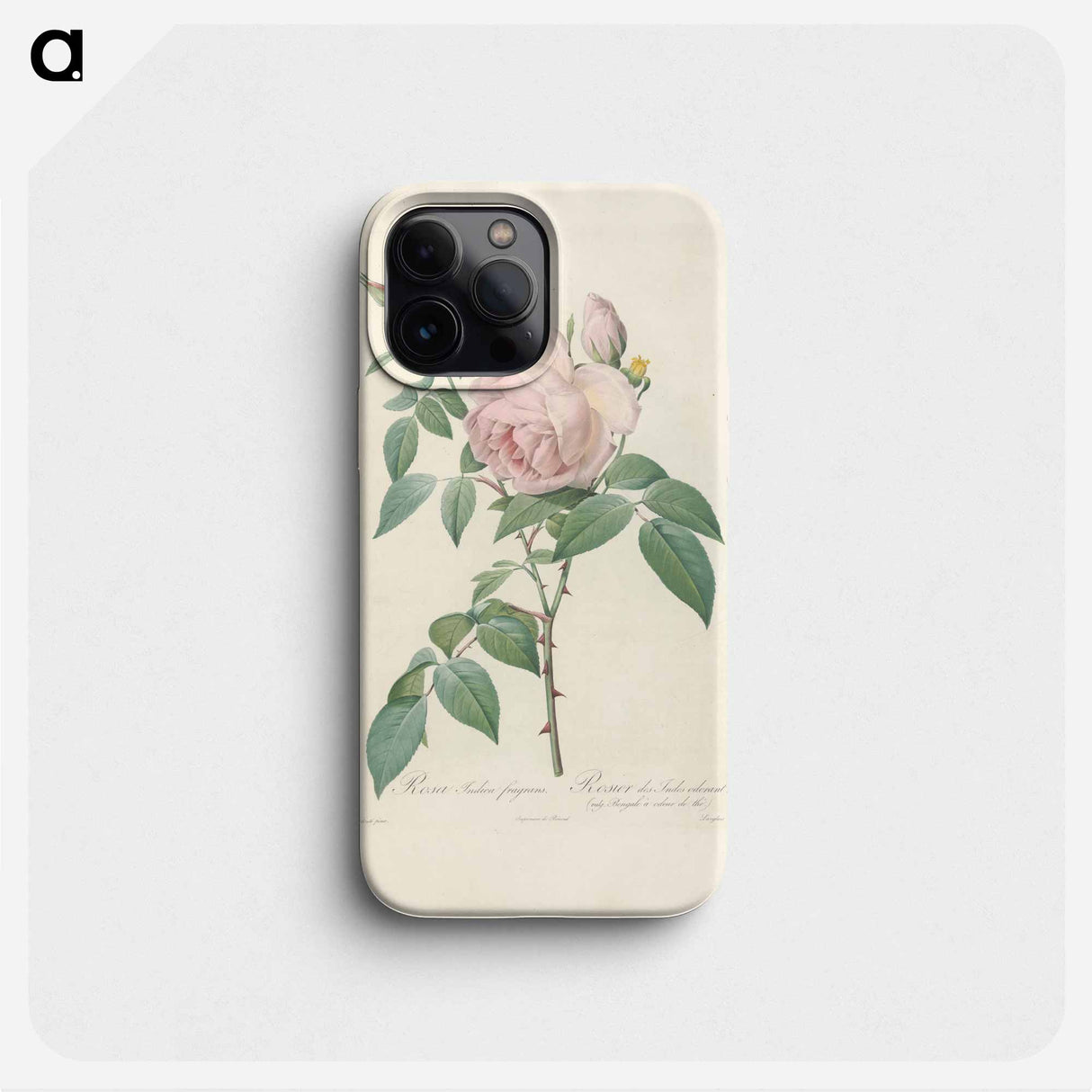 Rose illustration - Pierre Joseph Redouté Phone Case.