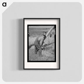 アートポスター-Sacking Barley on Mormon Farm
 - ラッセル リー Poster.