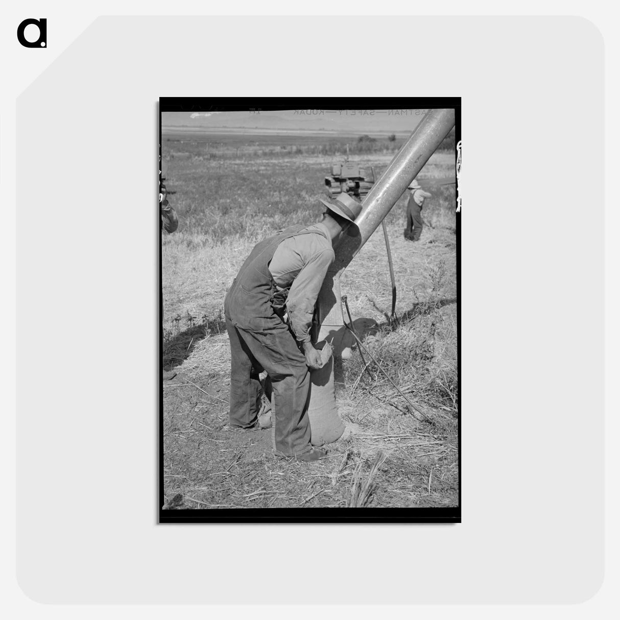 アートポストカード-Sacking Barley on Mormon Farm
 - ラッセル リー Postcard.
