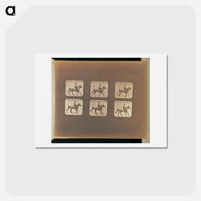 アートポストカード-Cantering
 - エドワード マイブリッジ Postcard.