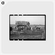 アートポストカード-Minnesota Cattle Farm
 - ラッセル リー Postcard.