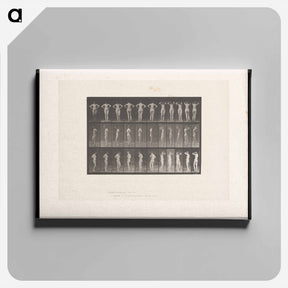 アートパネル-Nude Female Figure
 - エドワード マイブリッジ Canvas.