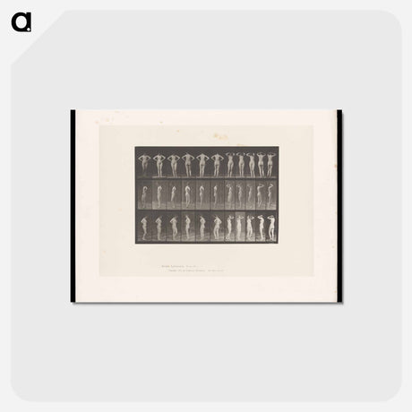 アートポストカード-Nude Female Figure
 - エドワード マイブリッジ Postcard.