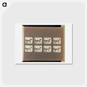 アートポストカード-Trotting
 - エドワード マイブリッジ Postcard.