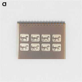 アートメモ帳-Trotting
 - エドワード マイブリッジ Memo.