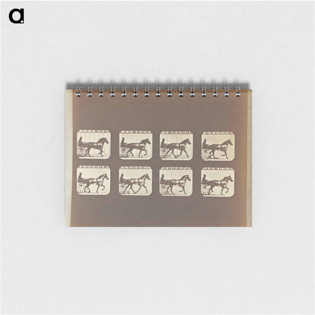 アートメモ帳-Trotting
 - エドワード マイブリッジ Memo.