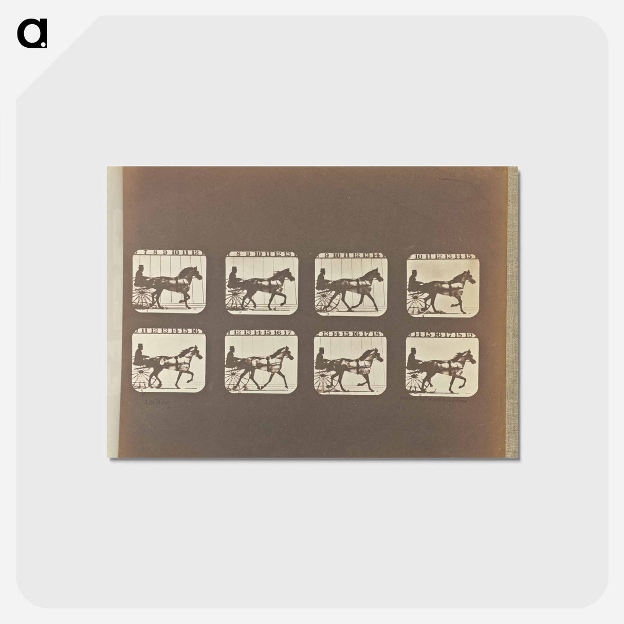 アートポストカード-Trotting
 - エドワード マイブリッジ Postcard.