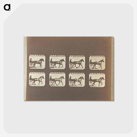アートポストカード-Trotting
 - エドワード マイブリッジ Postcard.