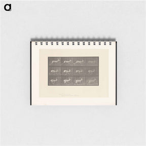 アートメモ帳-Running Antelope
 - エドワード マイブリッジ Memo.