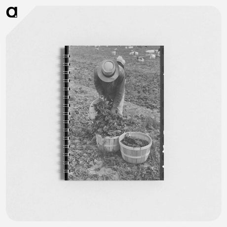 アートメモ帳-Logging in Malheur National Forest
 - ラッセル リー Memo.