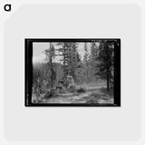 アートポストカード-Logging in Malheur National Forest
 - ラッセル リー Postcard.