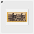 アートポストカード-Mouth of Echo Canyon
 - エドワード マイブリッジ Postcard.