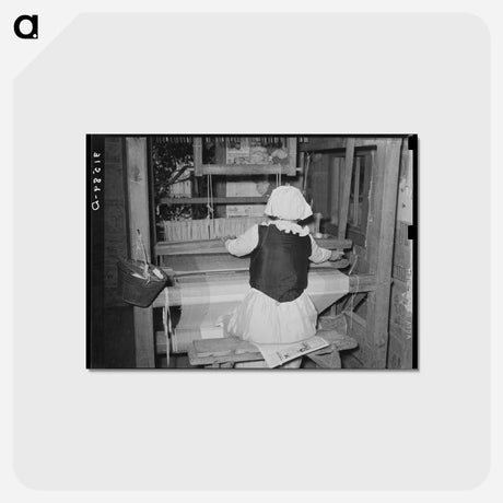 アートポストカード-Madame Dronet Weaving
 - ラッセル リー Postcard.