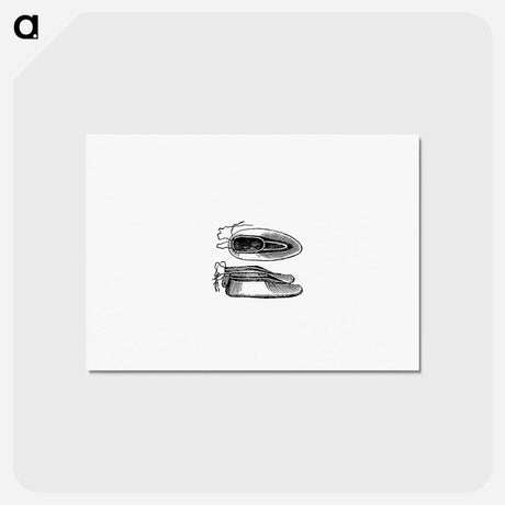 アートポストカード-Eskimo Boots and Shoes of Different Ornaments from The American North Pole Expedition
 - 大英図書館 Postcard.