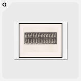 アートポストカード-Sweeping Woman
 - エドワード マイブリッジ Postcard.