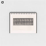 アートメモ帳-Sweeping Woman
 - エドワード マイブリッジ Memo.
