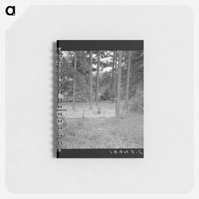 アートメモ帳-Untitled - ドロテア ラング Memo.